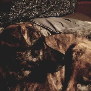 Meet your Posher, Karli